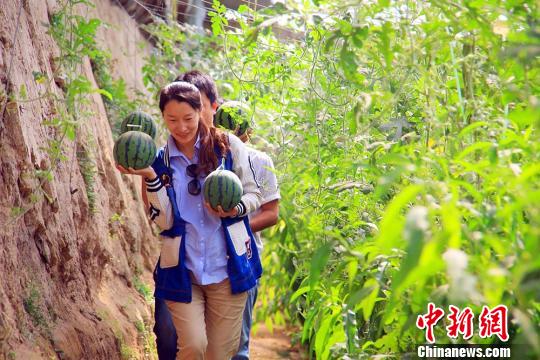 澳门新葡澳京官网